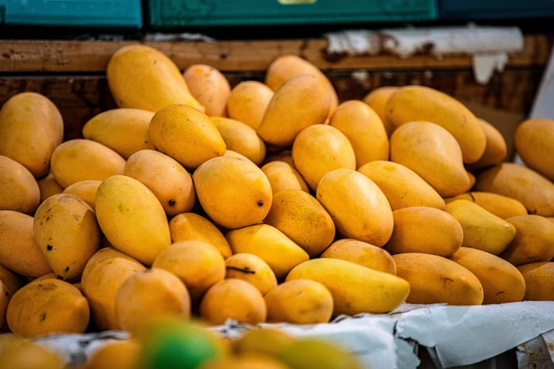 Fresh Ingredients